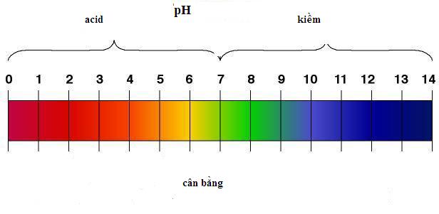 pH là gì ?